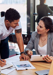 Software development and product launch